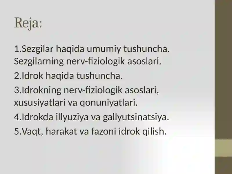 Sezgi va idrok 2