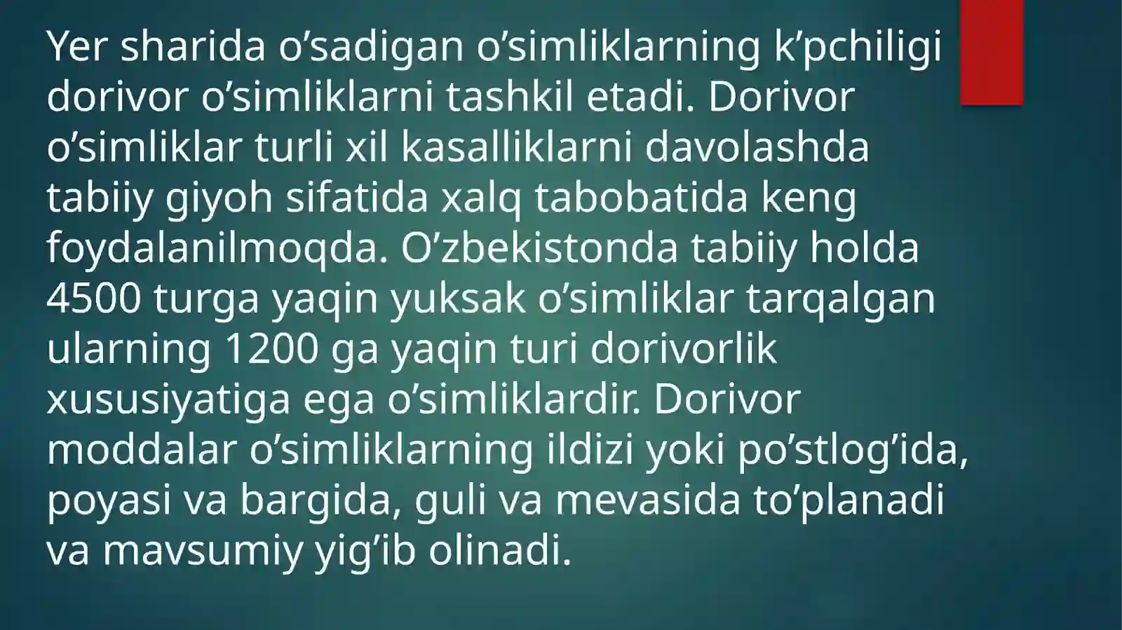 Dalachoy 2