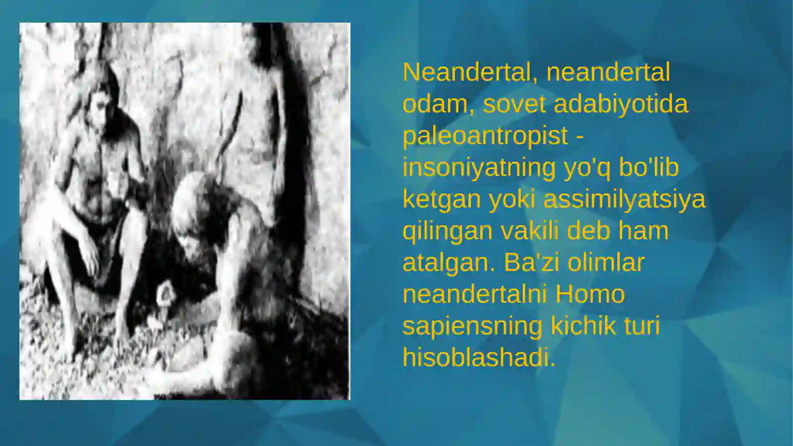 Neandertal 2