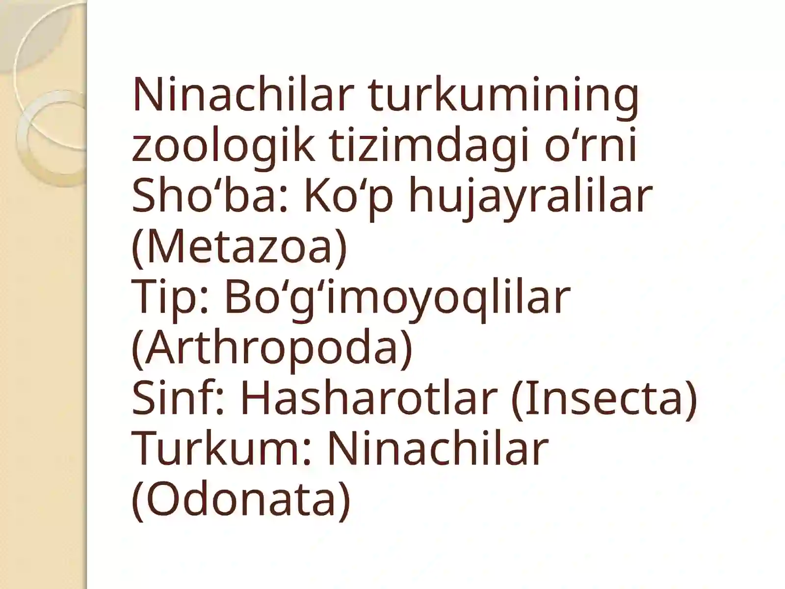 Ninachilar 2