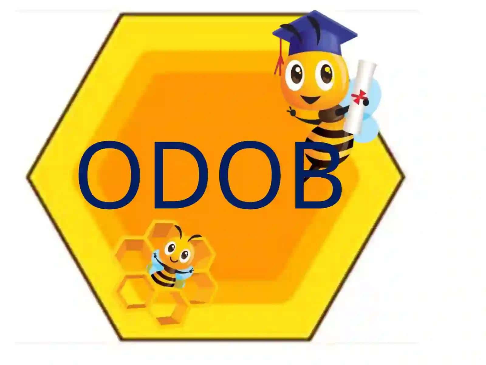 BIZNING SINF QOIDASI 2
