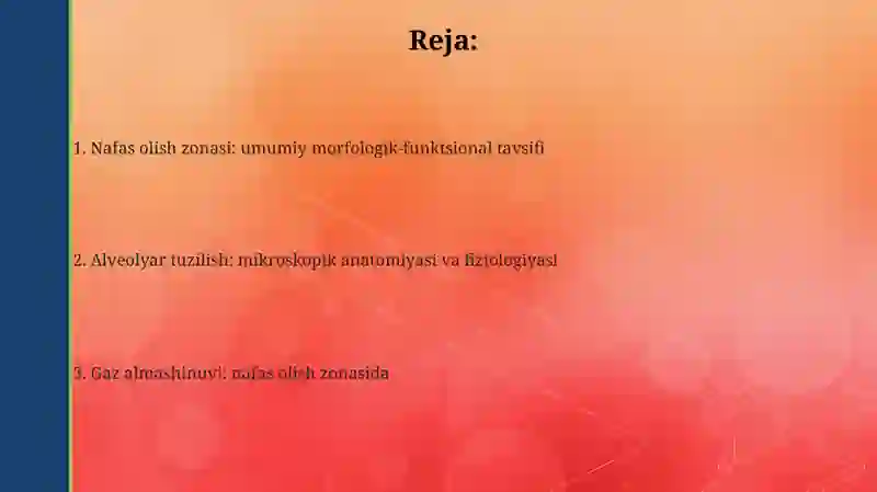 Nafas azolaring umumiy morfofunksional tavsifi 2