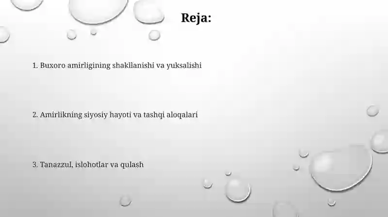 Buxoro amirligining tashkil topishi va siyosiy tarixi 2