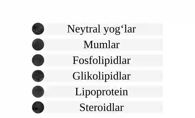 Lipidlar 2