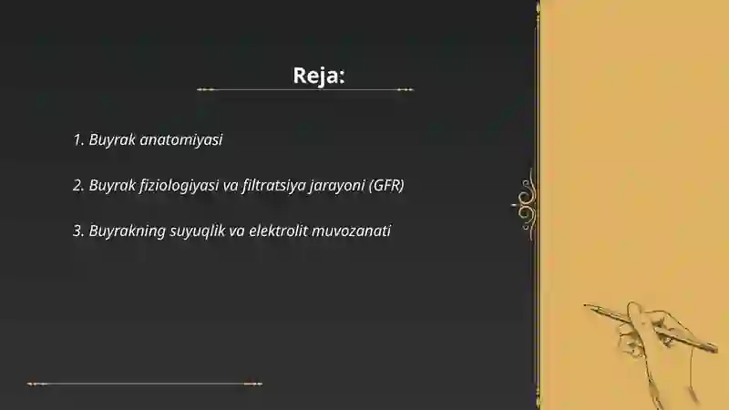 Buyrak 2