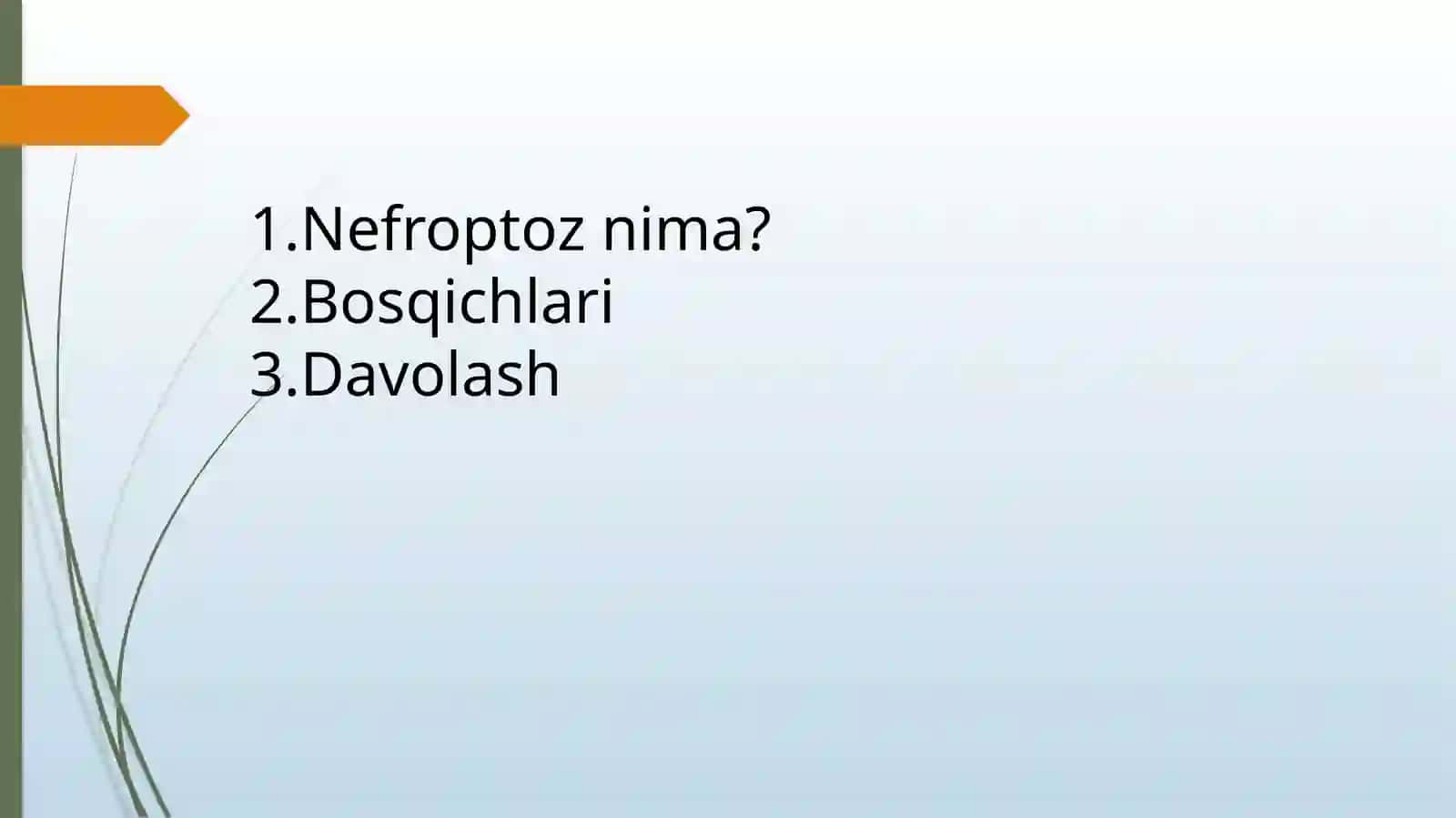 Nefroptoz 2