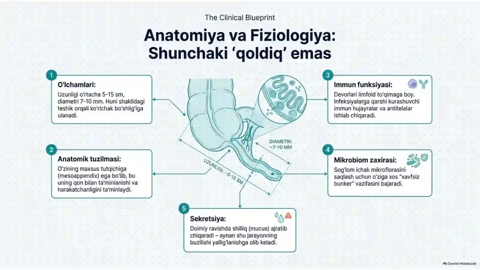 O‘tkir appenditsit — klinika, diagnostika va davolash | 15 slayd 2