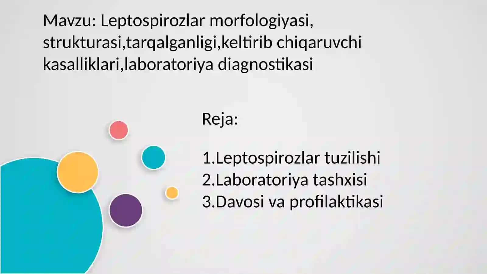 Leptospirozlar odamlar va hayvonlarga ta'sir qiladigan bakterial infektsiya. Alomatlari, laboratoriyadiagnostikasi va profylaktika haqida malumot 2