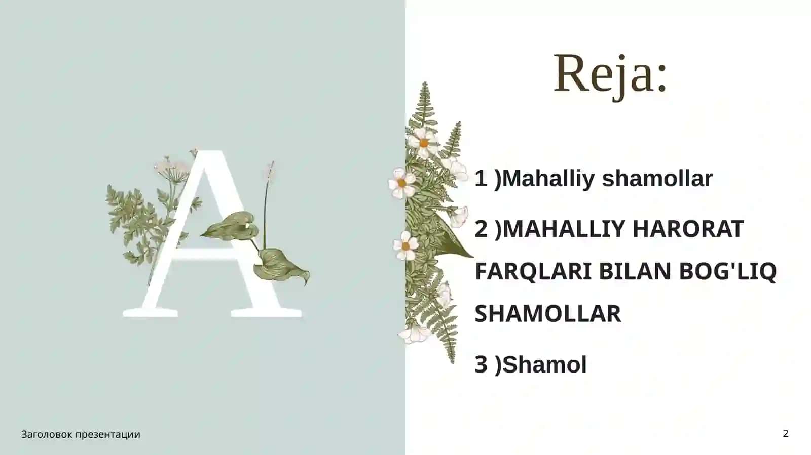Shamollar, uning turlari, mahalliy va sayyoraviy shamollar 2