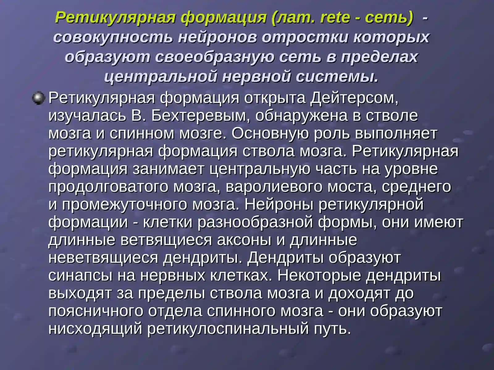 Магистратура по специальности Неврология 2
