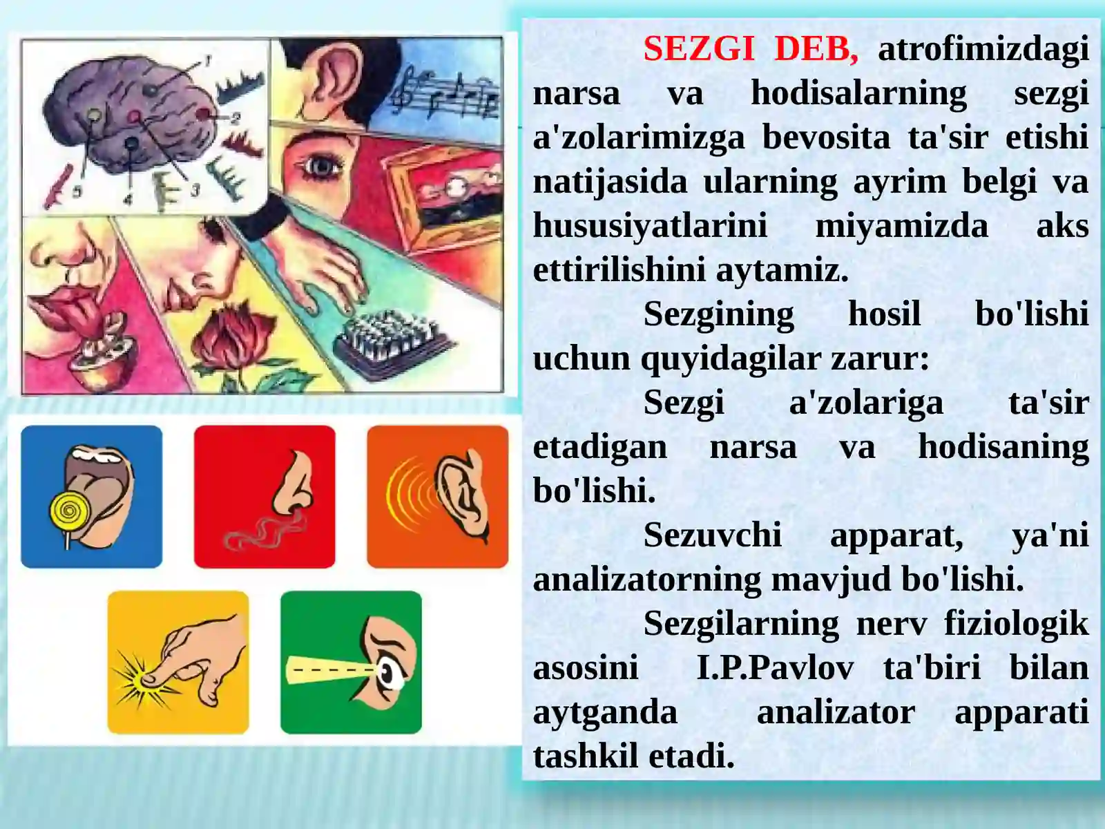 SEZGI 2