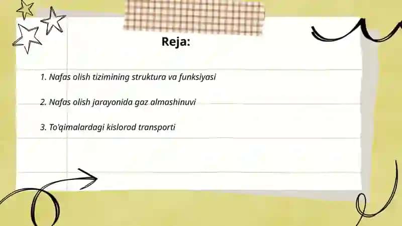 Nafas olish tizimining struktura va funksiyasi 2
