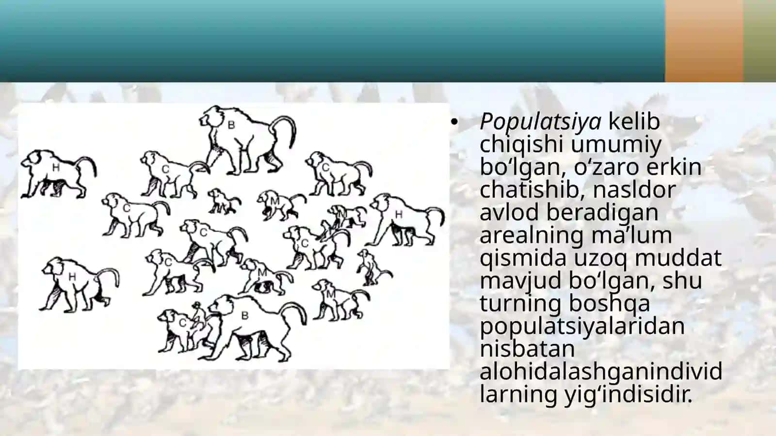 Turning populatsiya  strukturasi 2