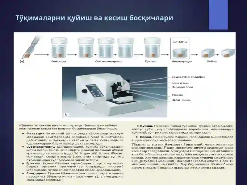 Цитология 2
