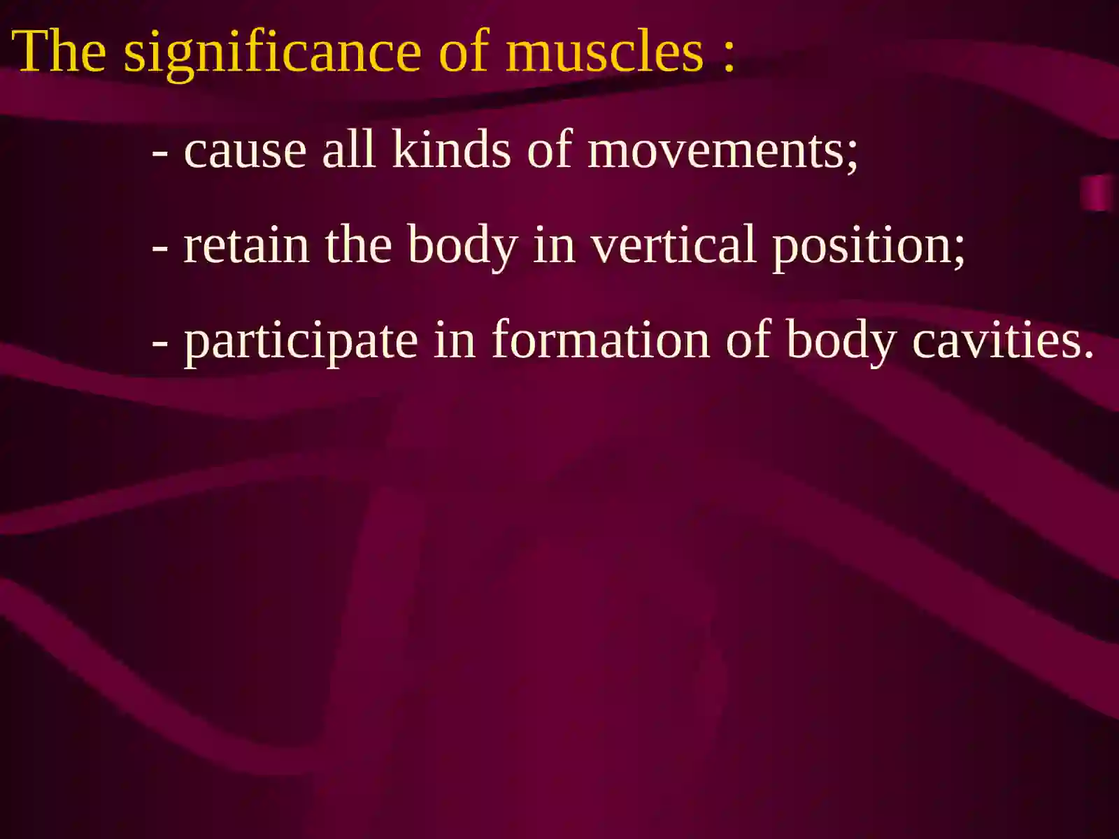 The muscular system 2