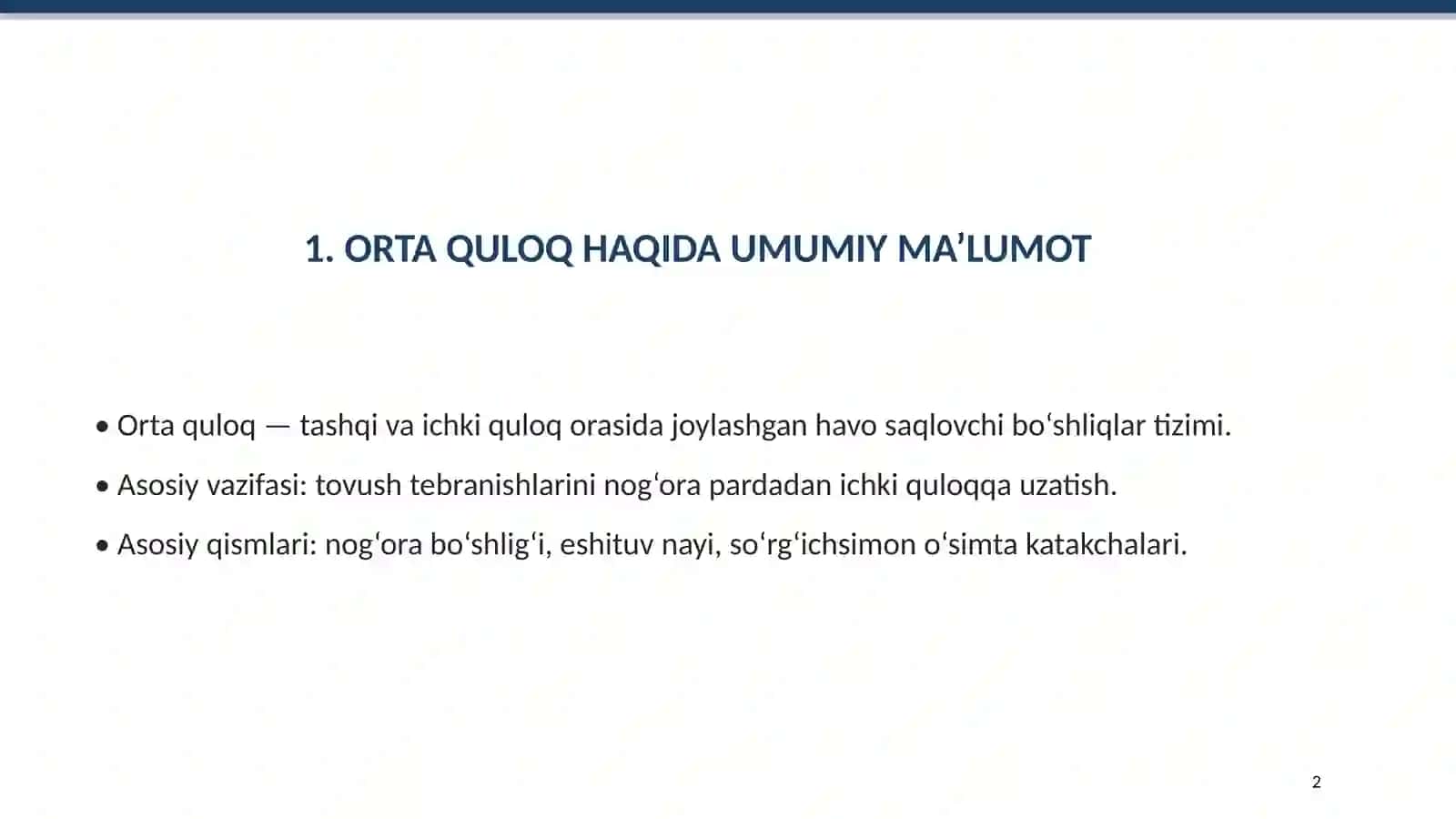 ORTA QULOQ ANATOMIYASI 2