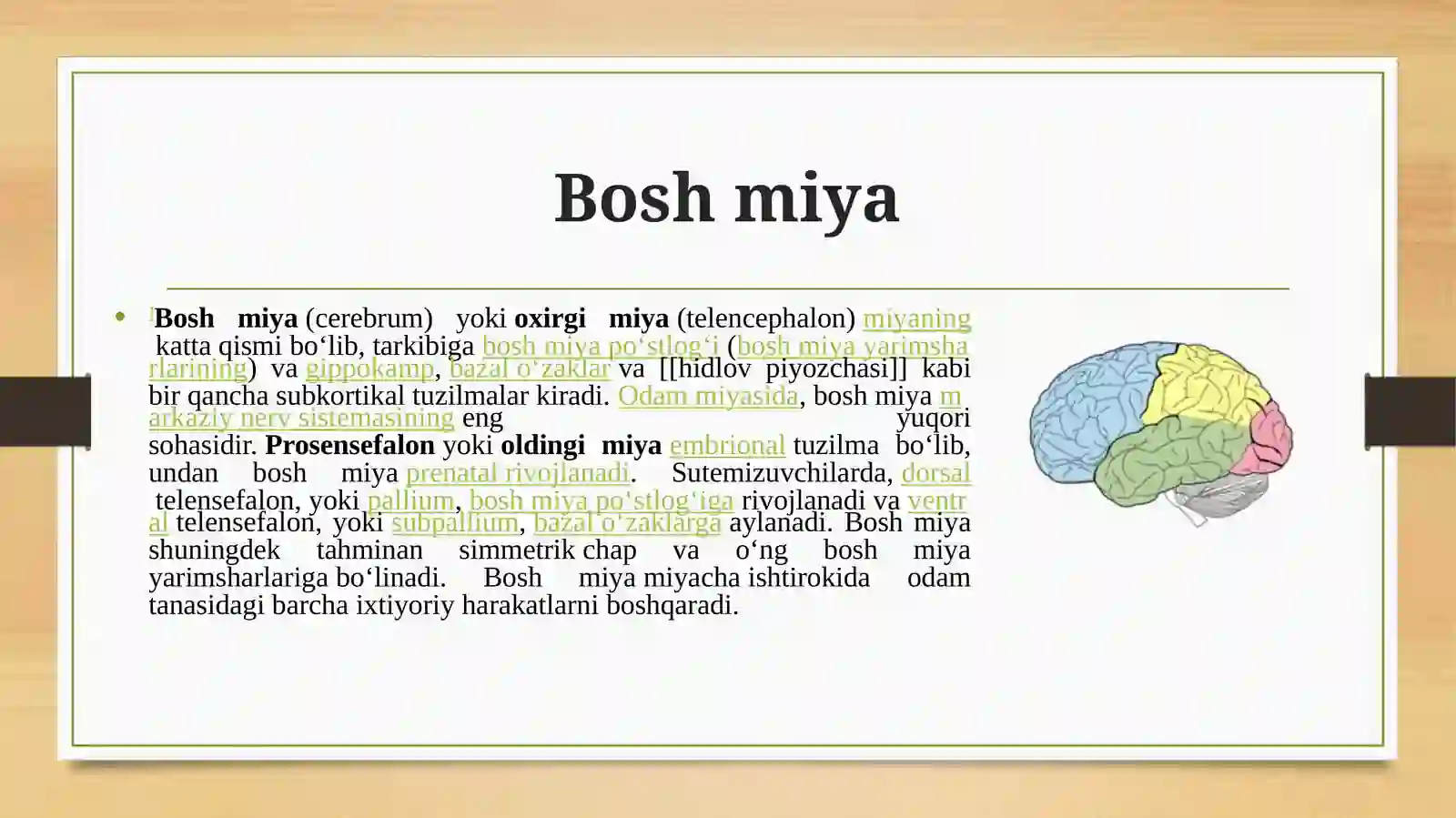 Bosh miya 2