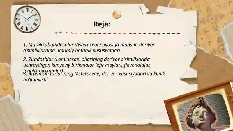 Murakkabguldoshlar va ziradoshlar oilalariga mansub dorivor o'simliklar 2