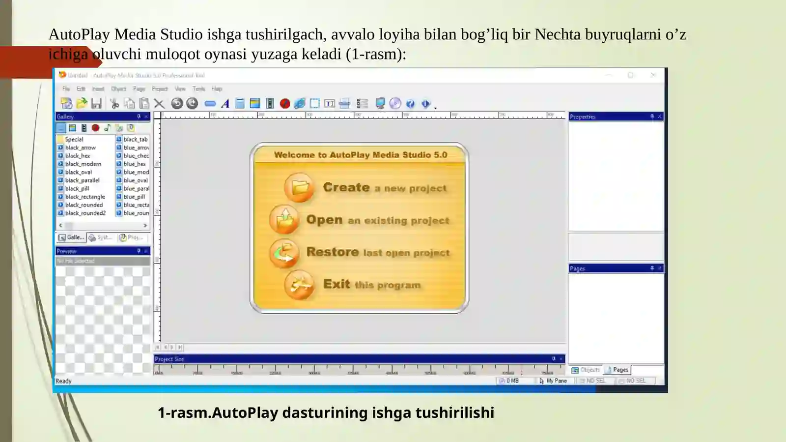 AutoPlayMedia Studio 2