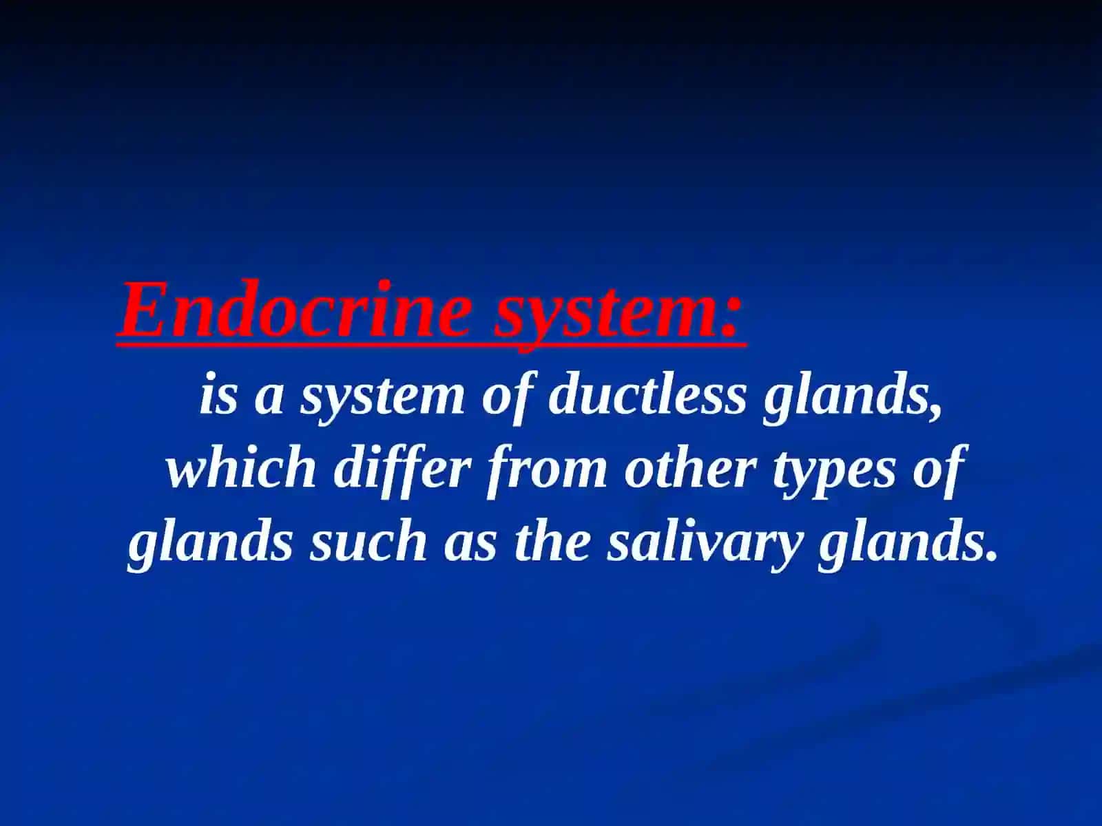 Endocrine system 2