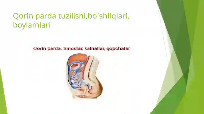 Toshkent Tibbiyot Akademiyasi 1-son davolash fakulteti talabasi Ibrohimov Ozodbek 2