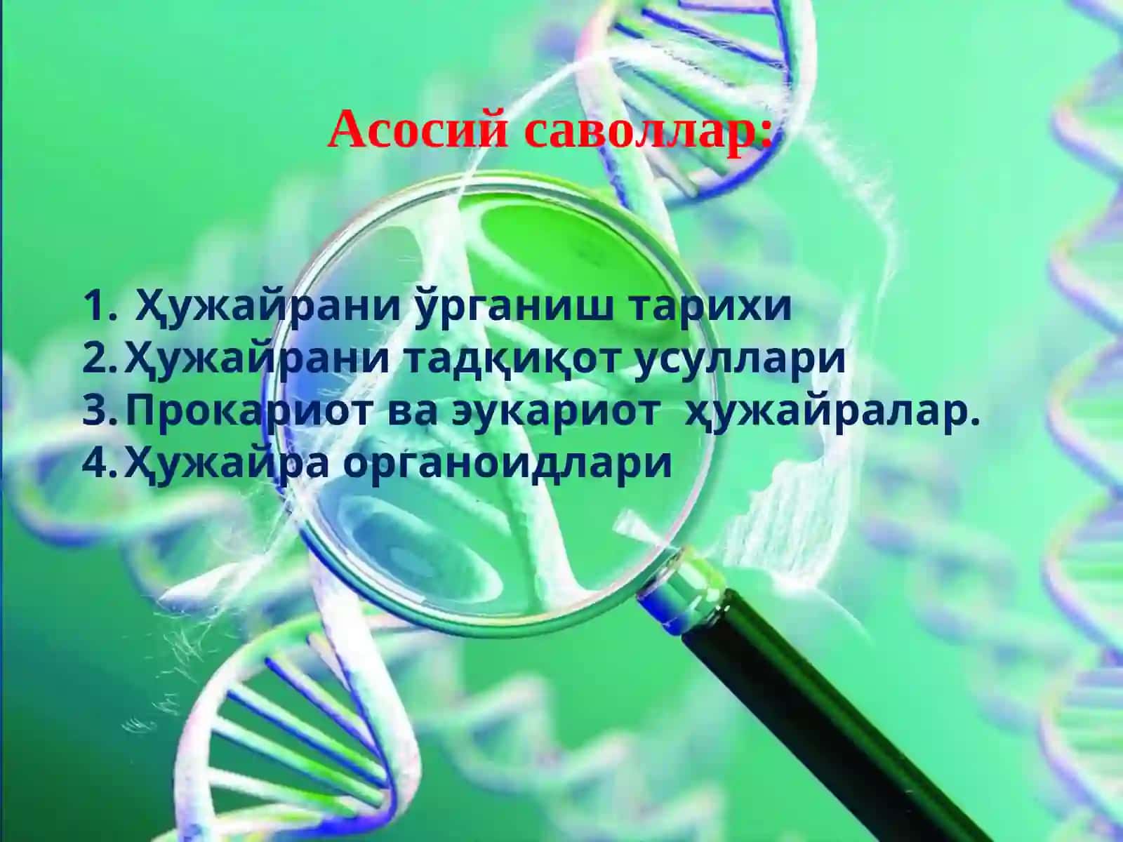 Ҳужайра 2