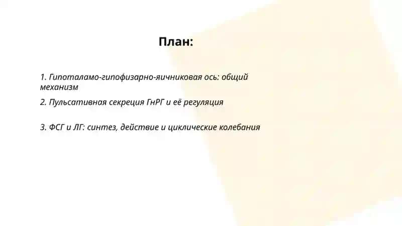 Механизм горморального регуляции полового цикла 2