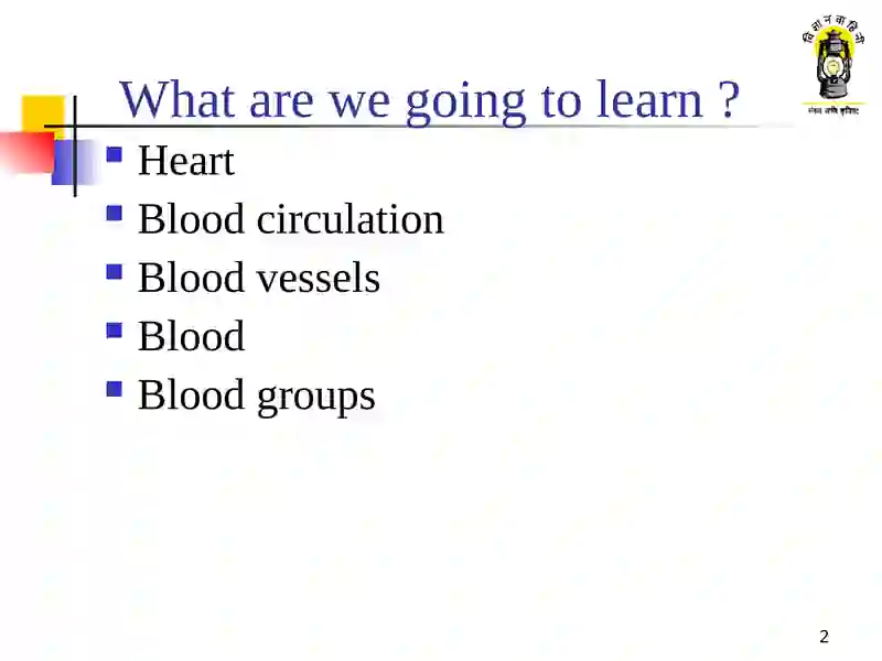 Circulatory system 2