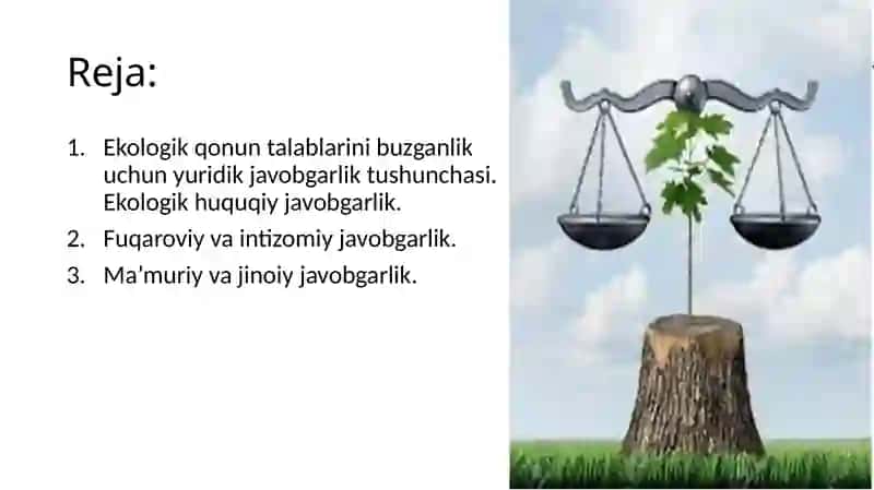 Ekologik huquq-buzarlik uchun javobgarlik 2