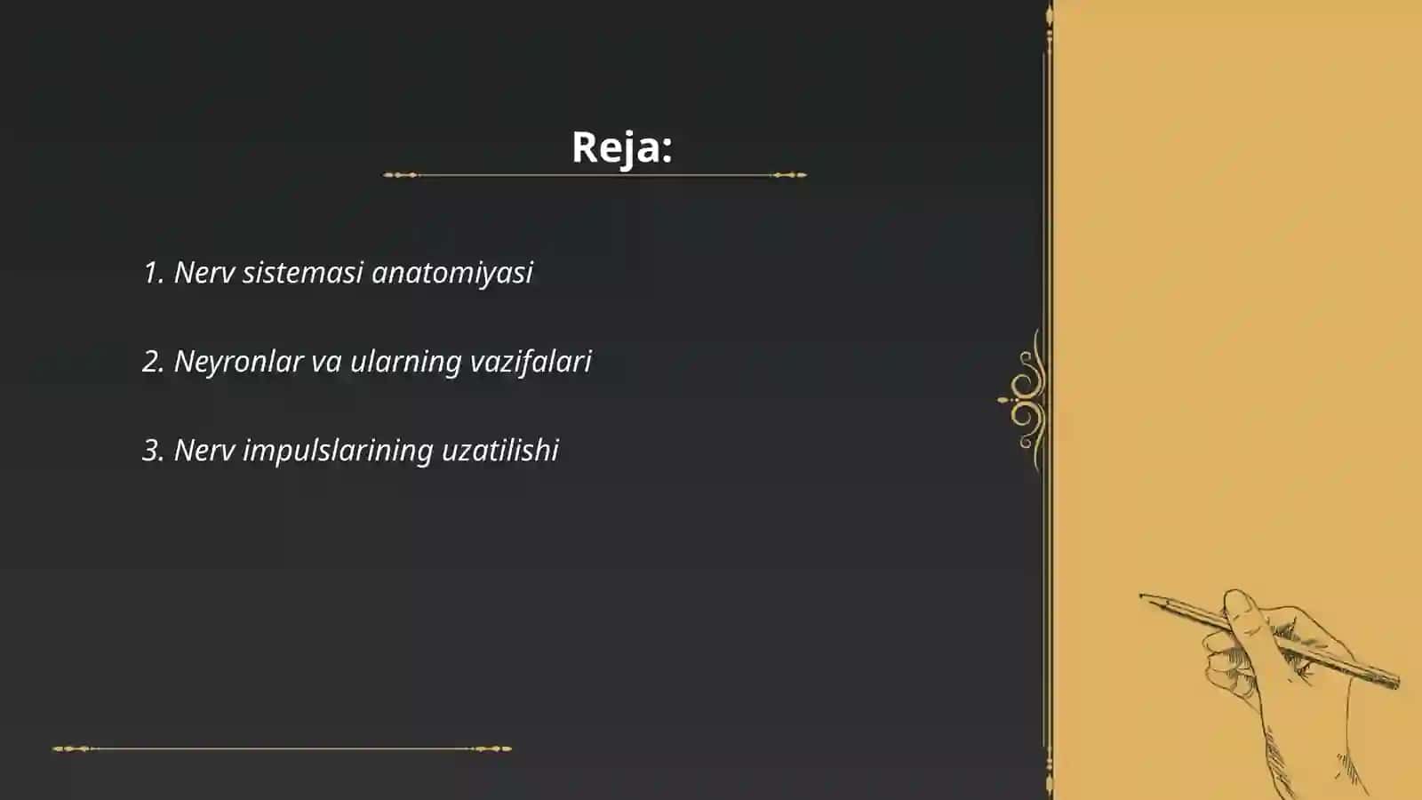 Ner sistemasi 2