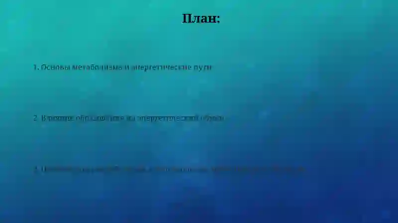 Лечебное дело 2