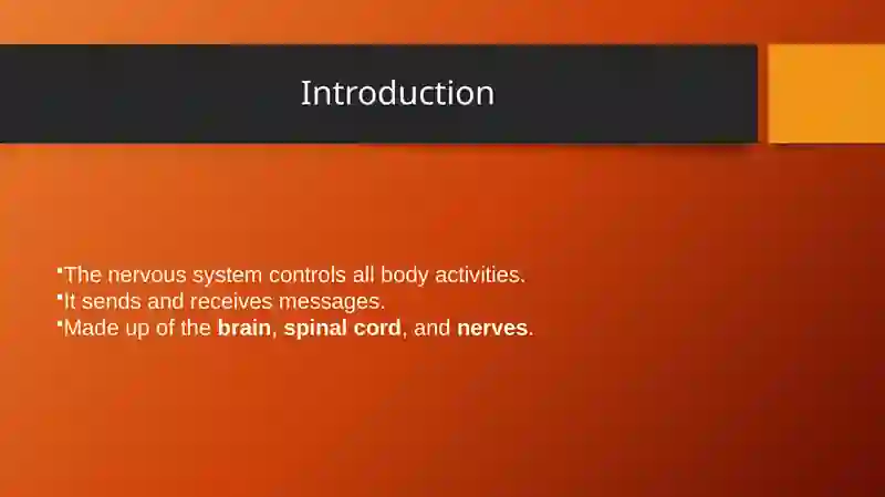 Nervous System 2