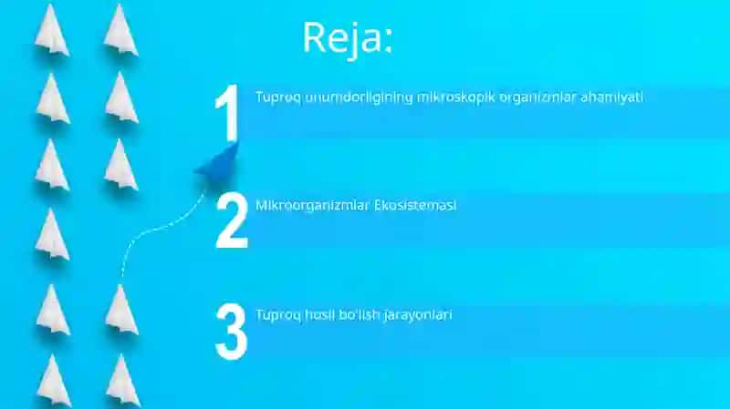 Tuproq paydo bo'lishida mikroorganizmlarning roli 2