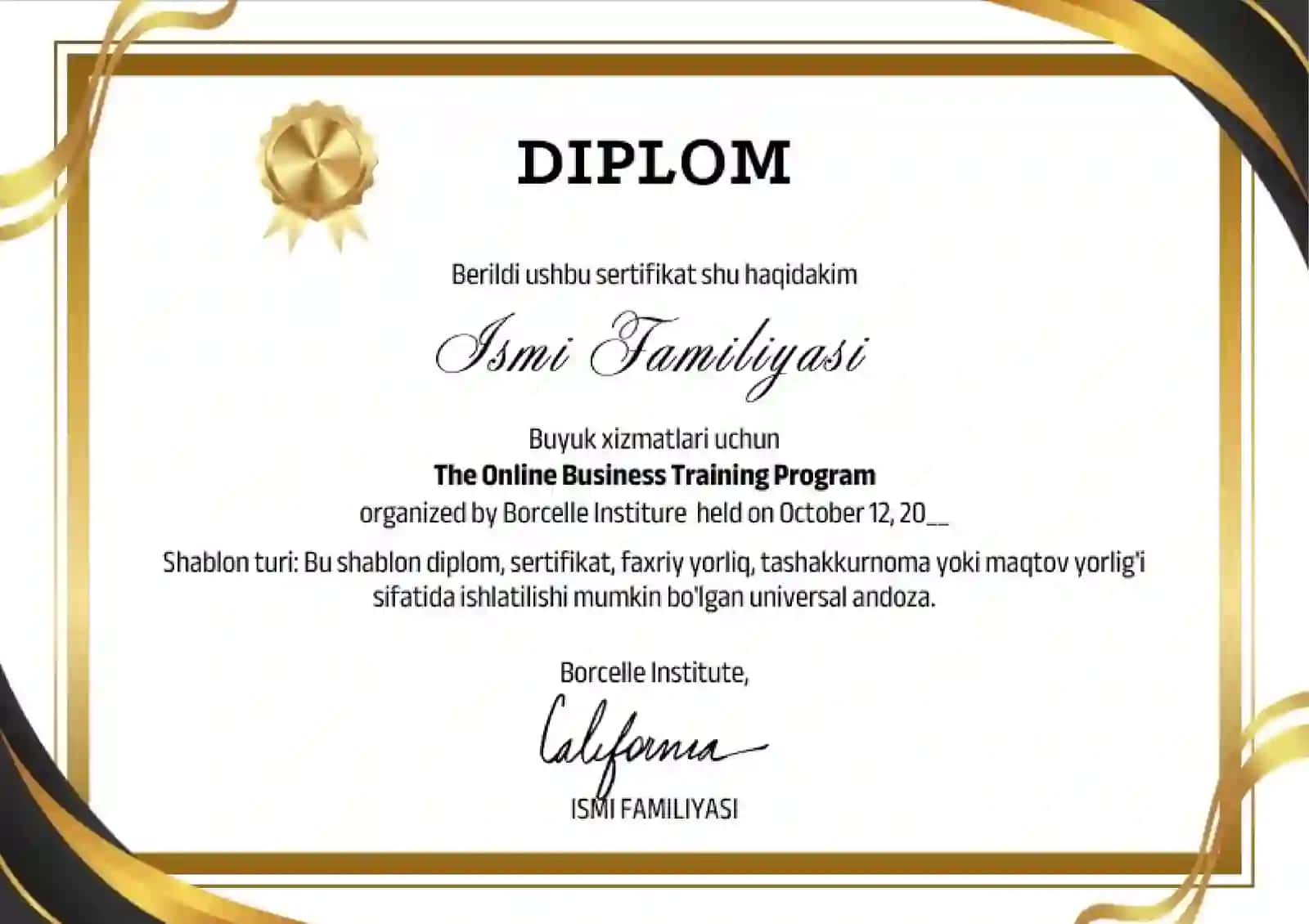 DIPLOM 2