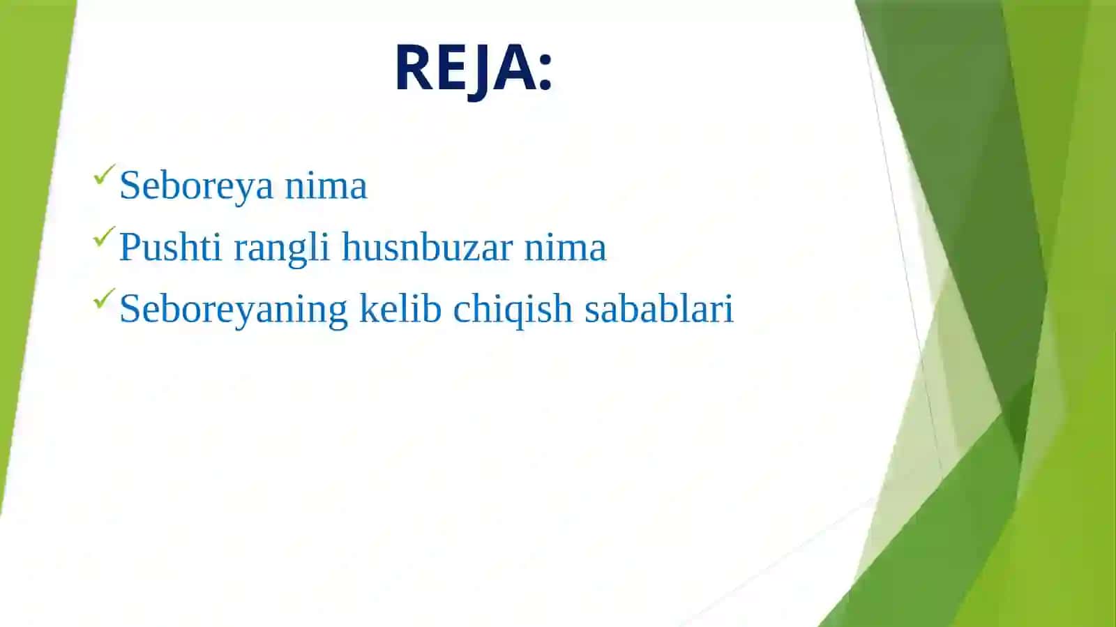 SEBOREYA.PUSHTI RANGLI HUSNBUZAR 2