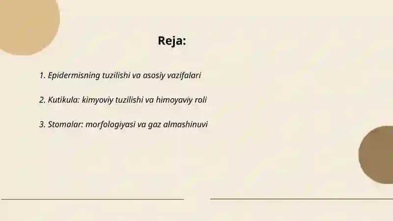 Oʻsimlikning qoplovchi toʻqimalari 2
