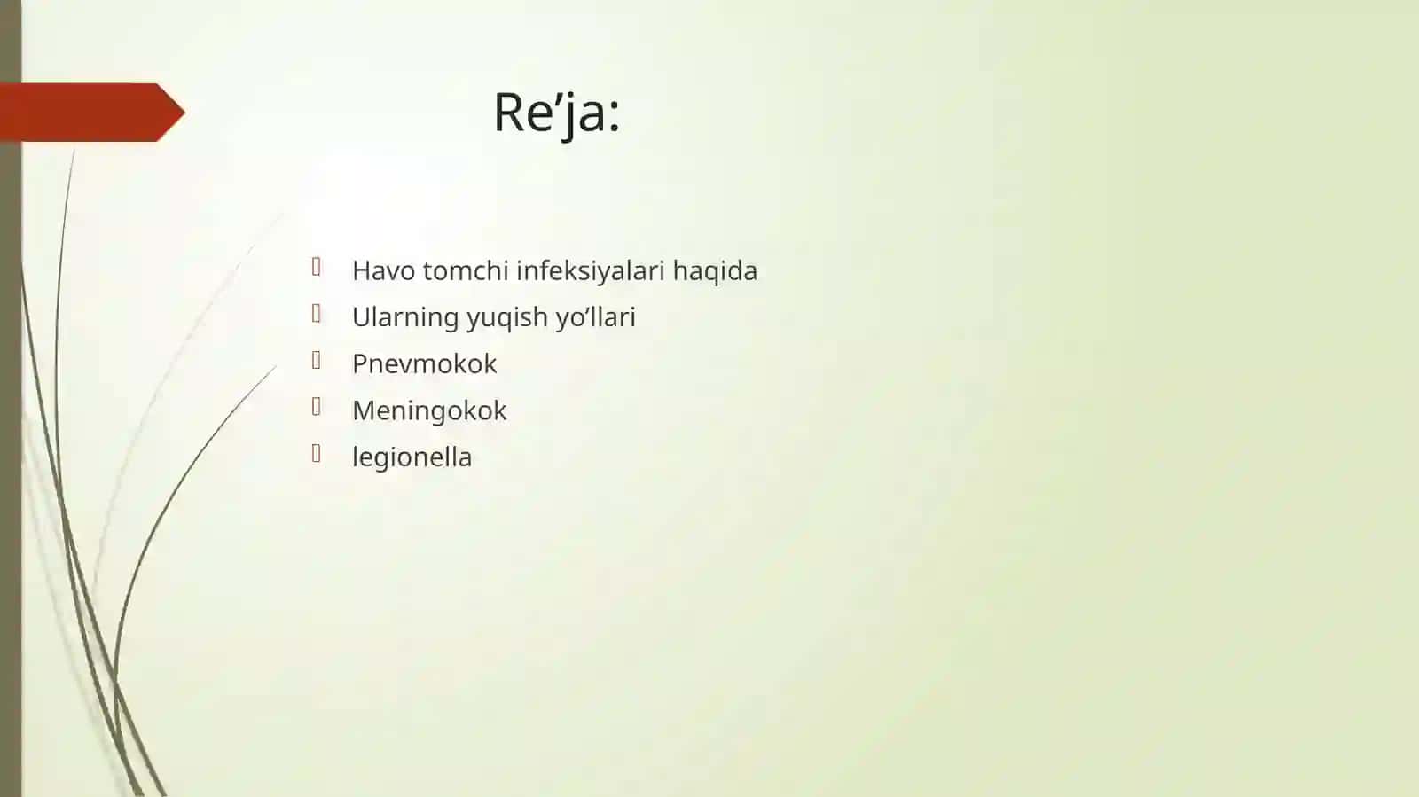 Havotomchi infeksiyalari: pnevmokok, meningokok, legionella 2