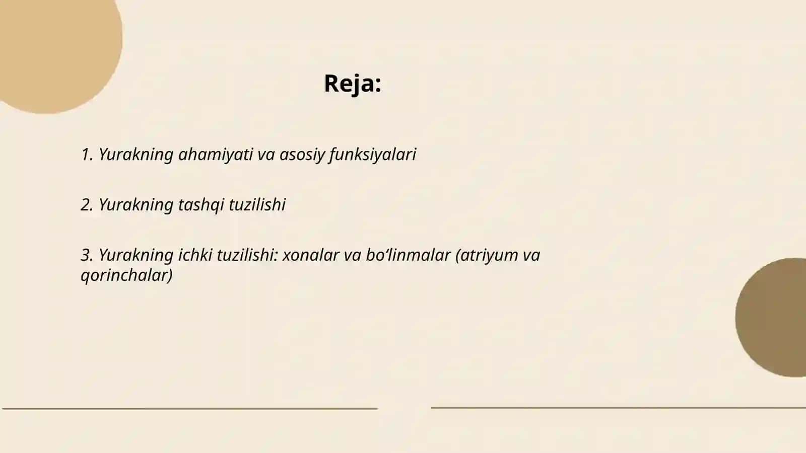 Yurakning ahamiyati va tuzilishi 2