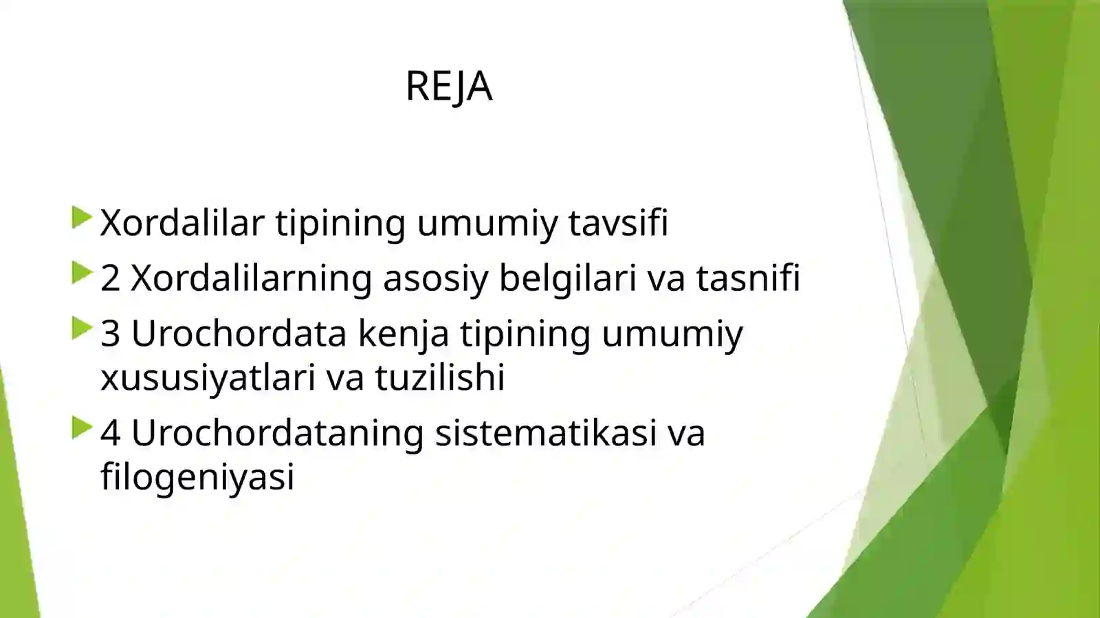 Xordalilar tipi – Chordata,Lichinkaxordalilar– Urochordatakenjatipiningsistematikasivafilogeniyasi 2