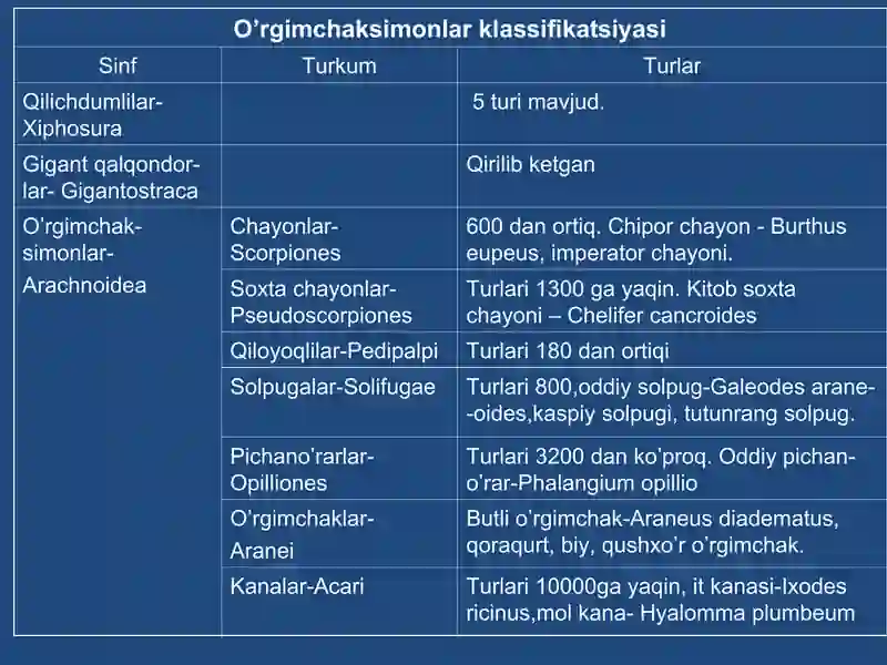 O’rgimchaksimonlar sistematikasi 2