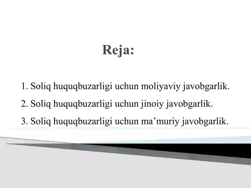 Soliqqa oid huquqbuzarliklar va ularni sodir etganlik uchun javobgarlik 2