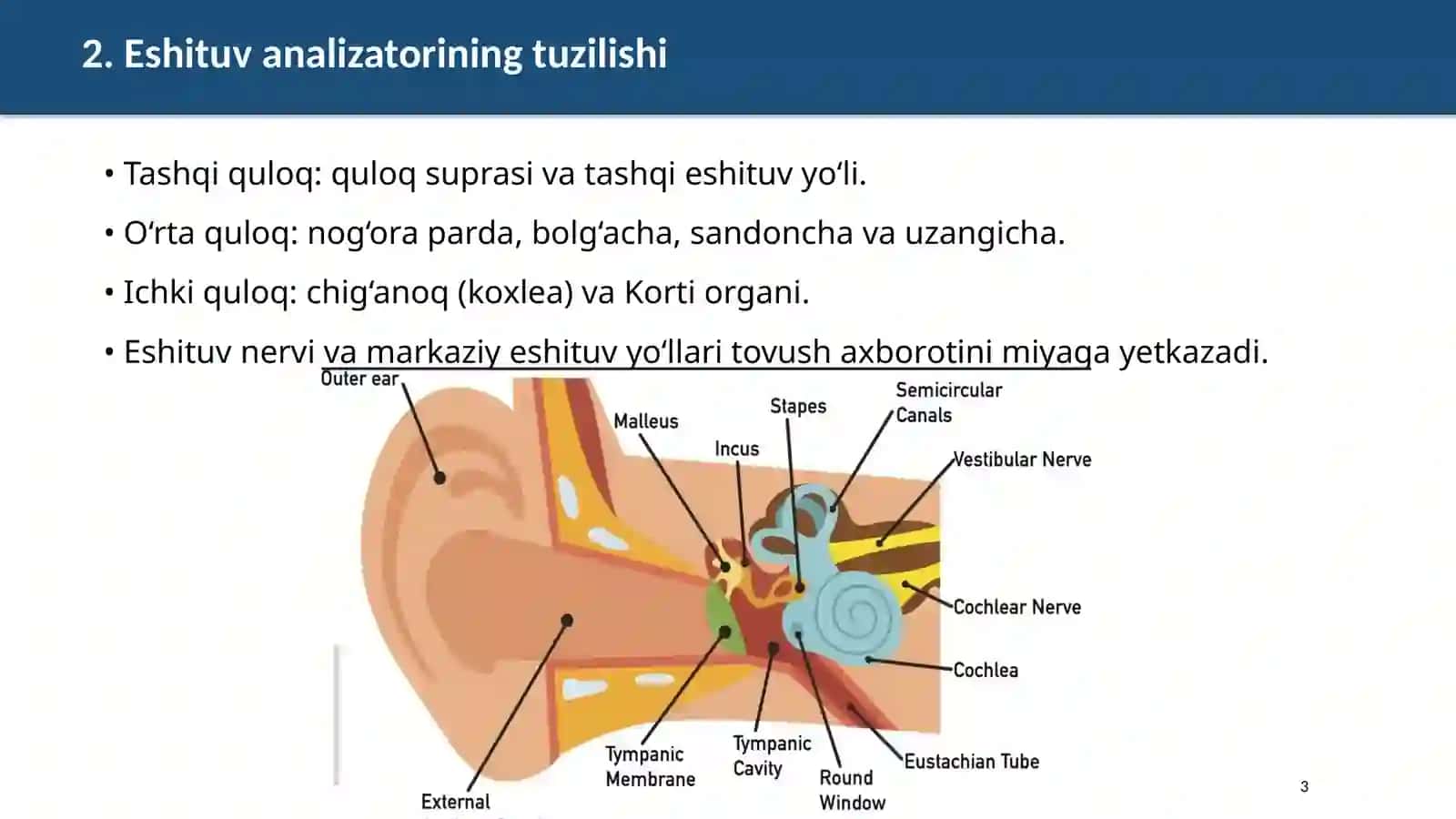 Eshituv analizatori 2