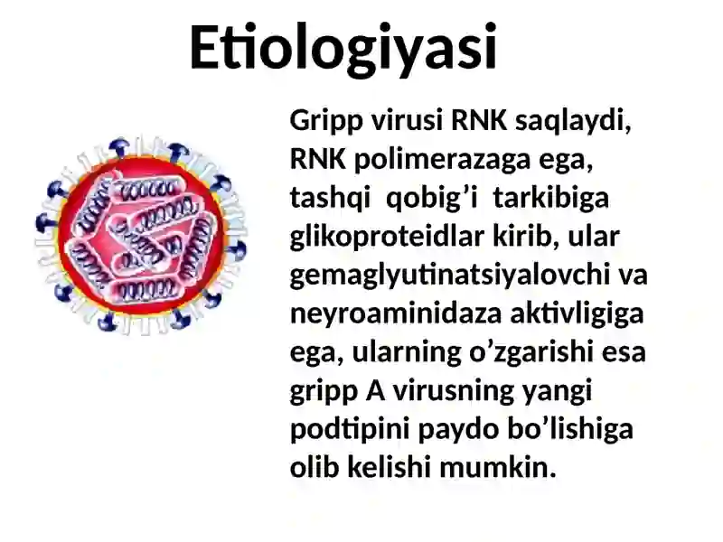 Gripp O'RVI 2