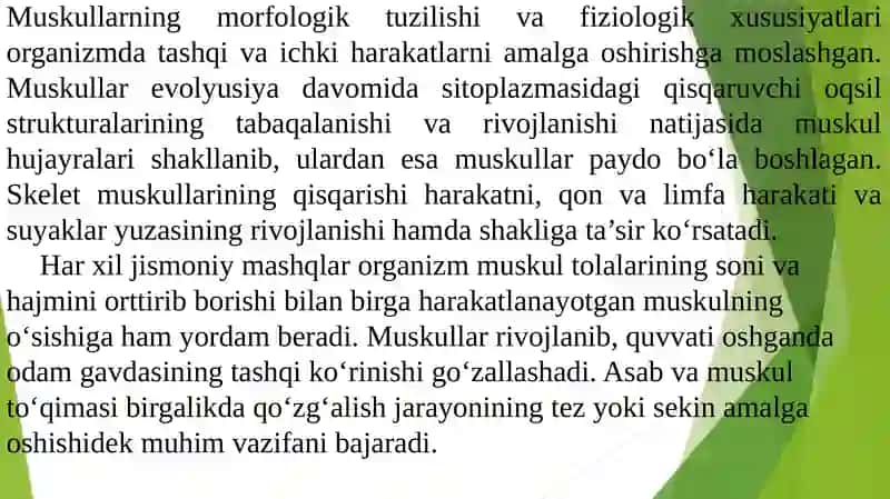 Muskullar haqida umumiy ma'lumot 2