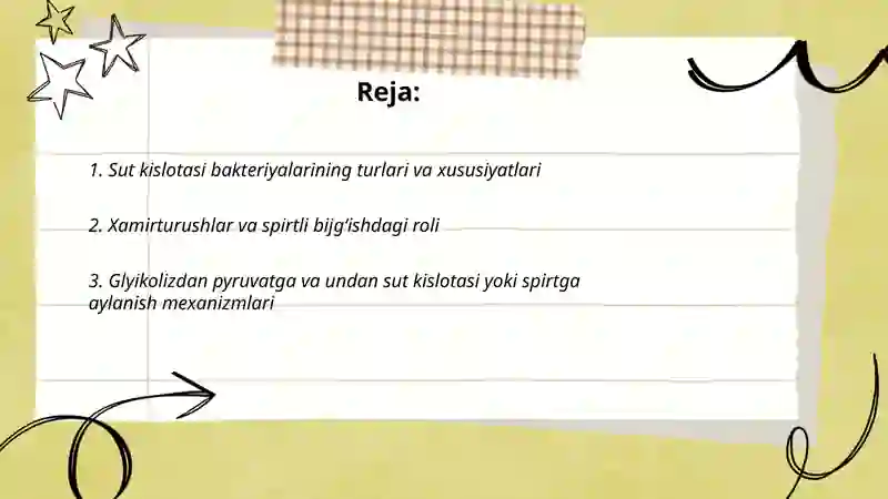 Sut kislotasi va spirtli bijgʻish 2