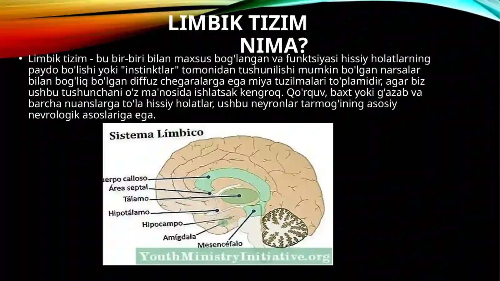Limbiktizim 2