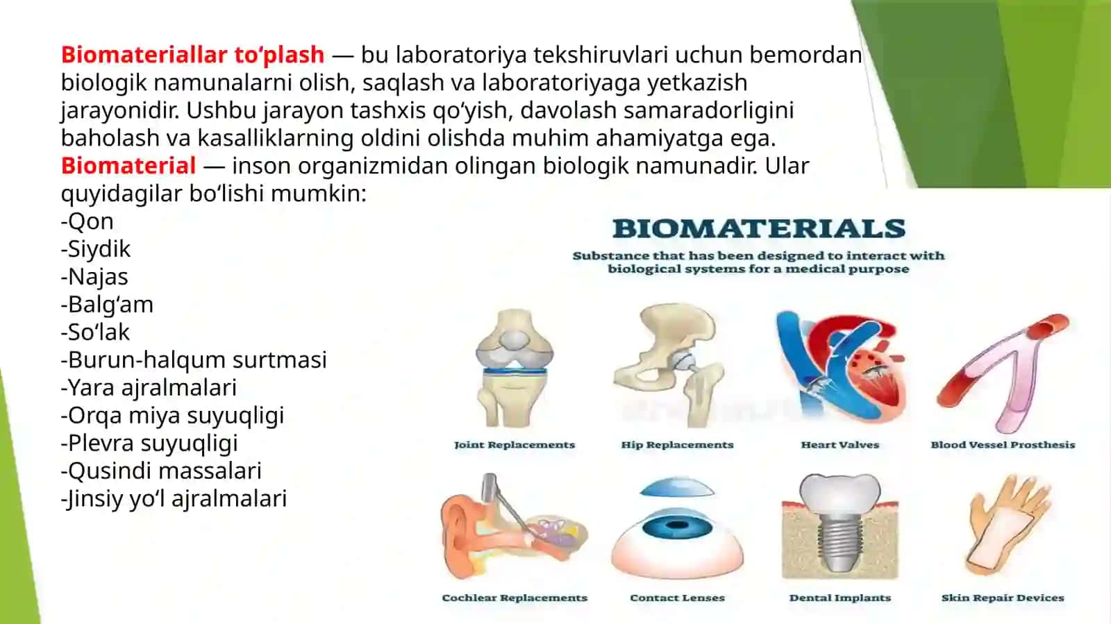BIOMATERIALLARTO’PLASH 2