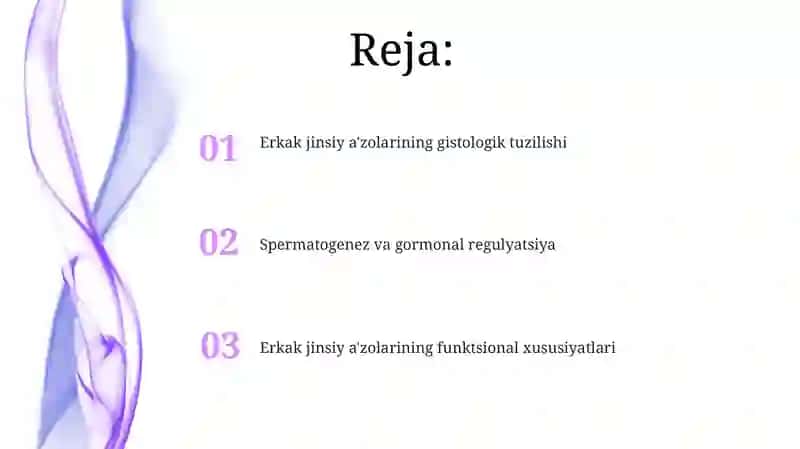 Erkaklar jinsiya sistemasining gistologiyasi 2