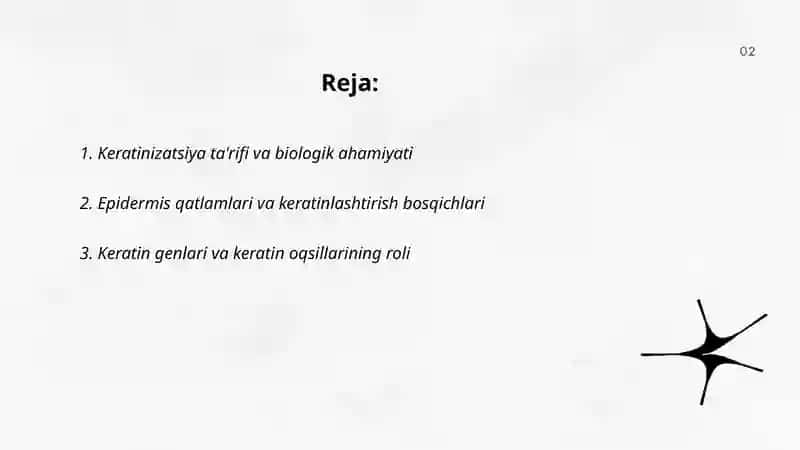 Keratinizatsiya jarayonlari haqida zamonaviy tasavvurlar 2