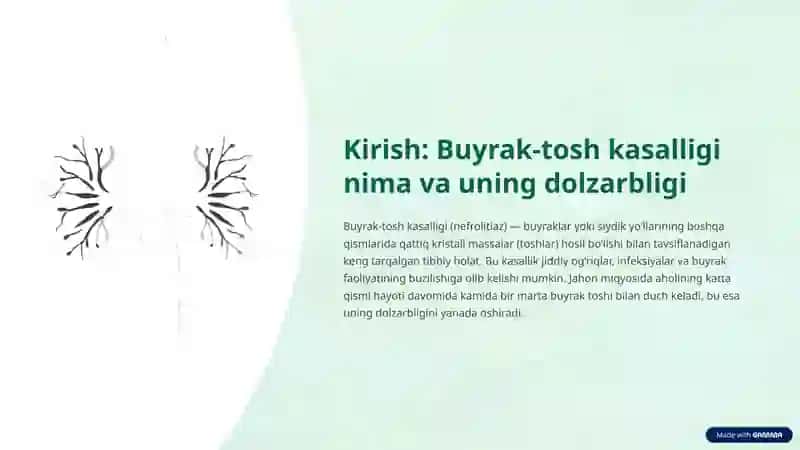 BUYRAKLARDA URAT TOSHLARINING PAYDO BO'LISHI VA DAVOLASH YO'LLARI 2